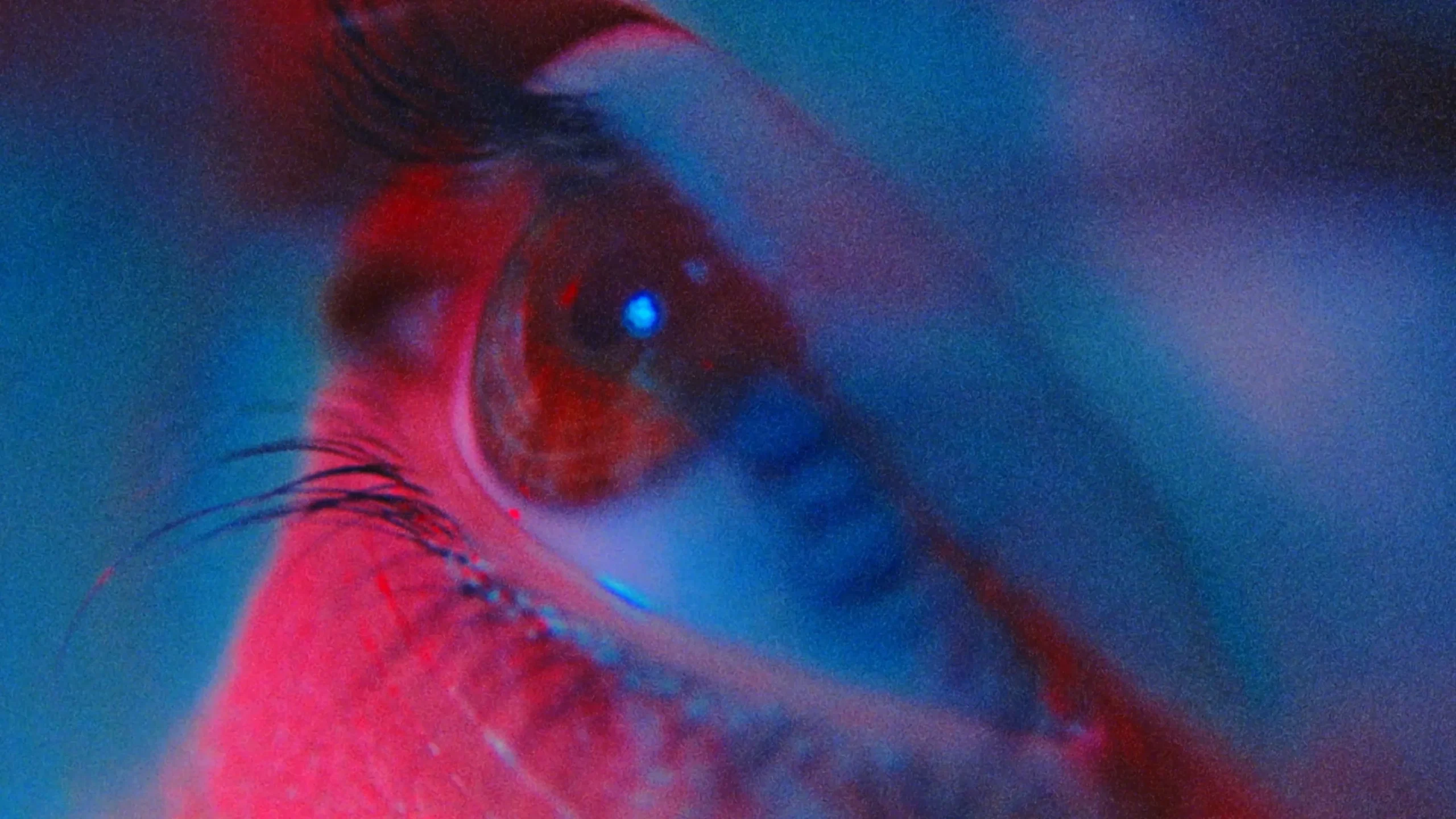 220405_fuzzybrains_desire_musicvideo_MASTER_UHD_07